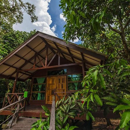 Borneo Sepilok Rainforest Resort Kültér fotó