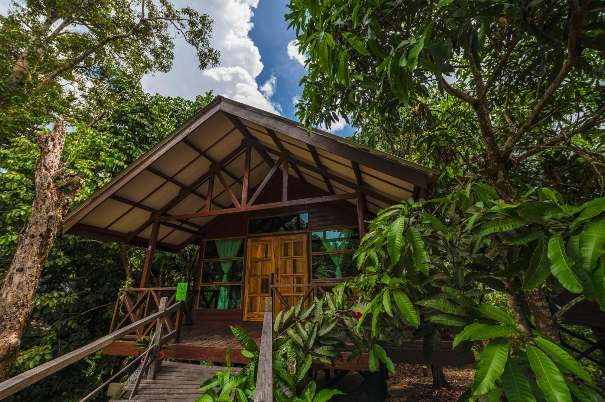 Borneo Sepilok Rainforest Resort Kültér fotó
